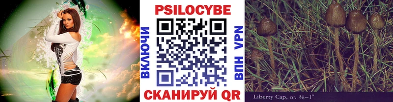 Псилоцибиновые грибы Magic Shrooms  Цимлянск 